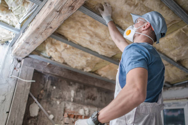 Best Insulation Installation Services in Superior, WI